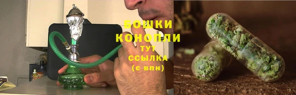 трава Весьегонск