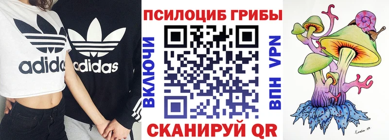 Псилоцибиновые грибы Cubensis  Емва 
