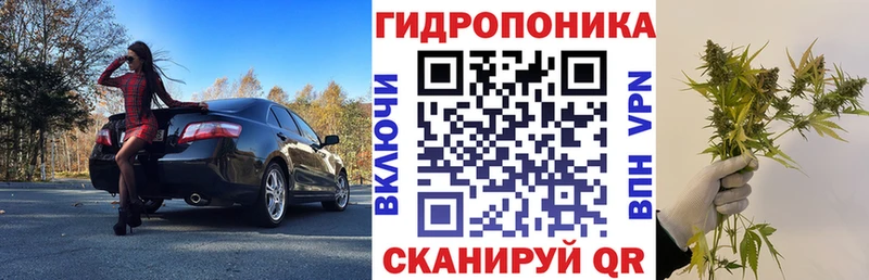 Канабис ГИДРОПОН  купить наркоту  Емва 